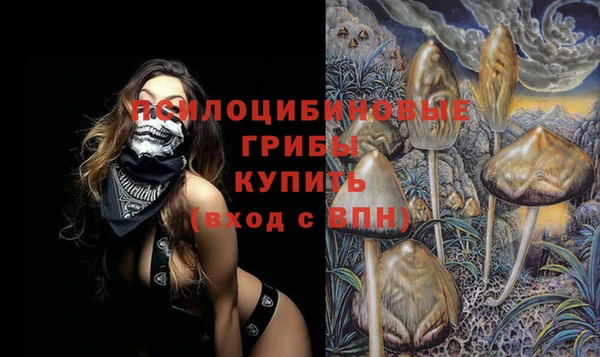 прущие грибы Бронницы