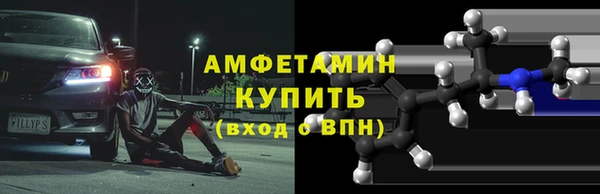 прущие грибы Бронницы
