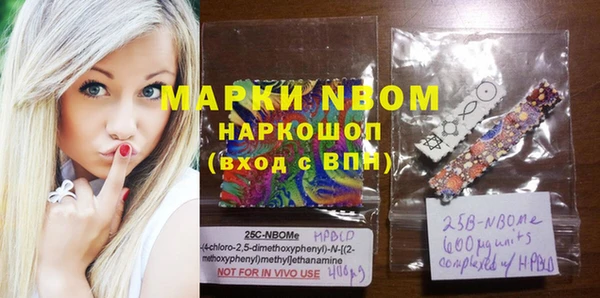 прущие грибы Бронницы