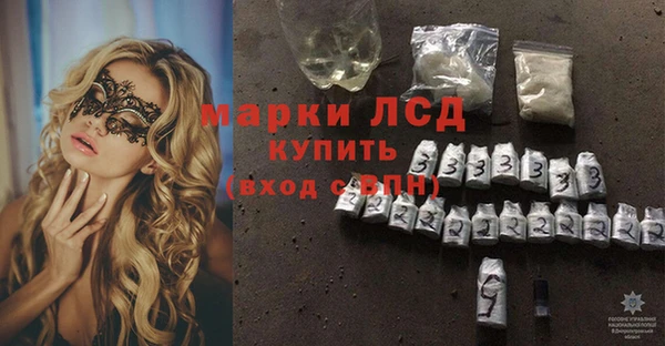 прущие грибы Бронницы