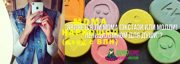 прущие грибы Бронницы