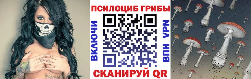 Псилоцибиновые грибы мицелий  Венёв 